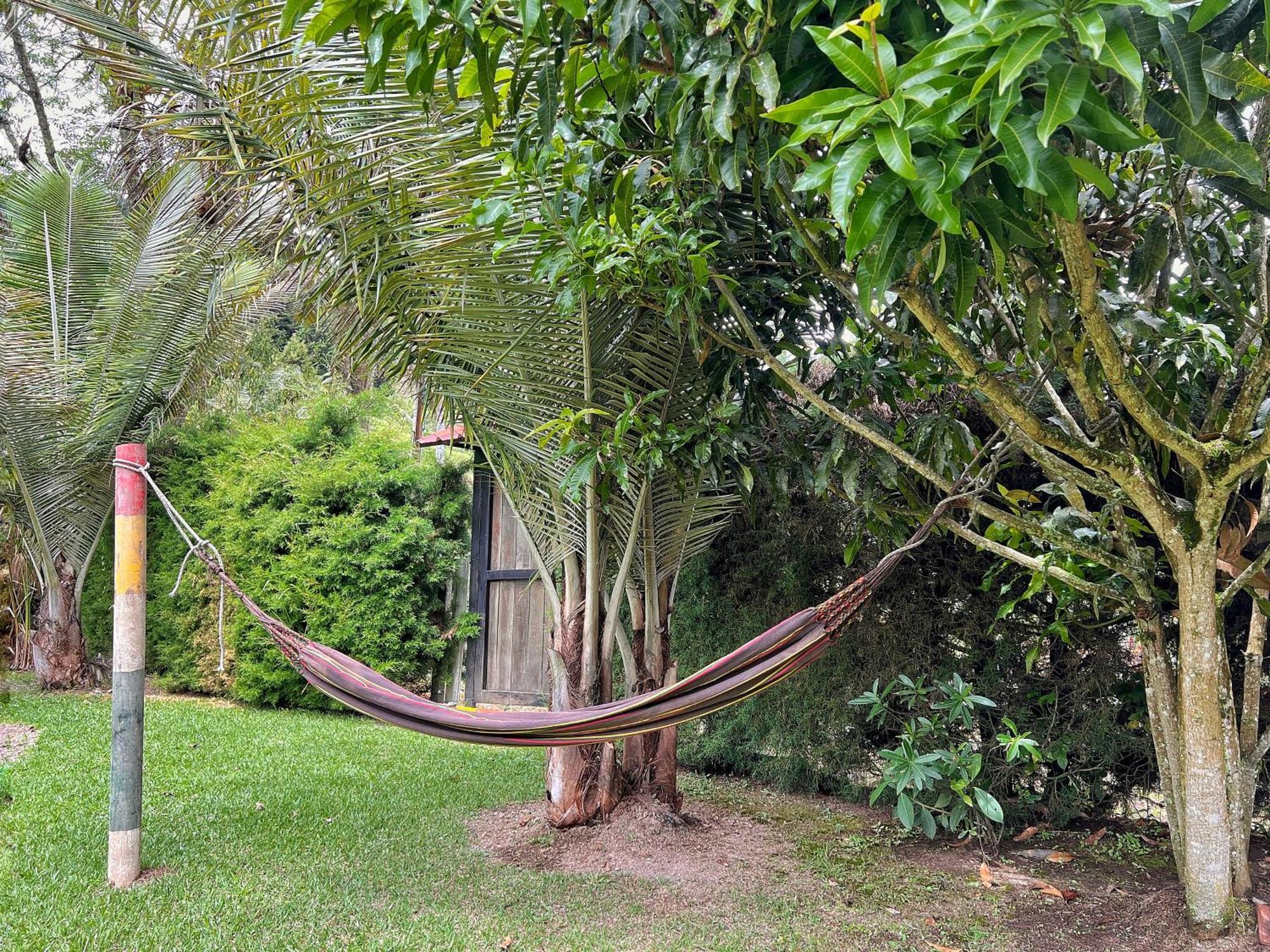 Paraiso Cocora Salento Zewnętrze zdjęcie